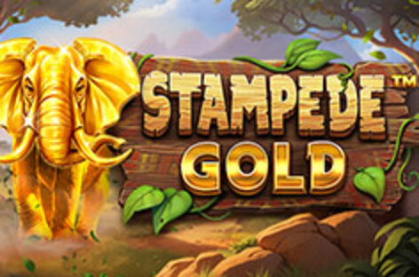 Интересный игровой автомат в Казино Jozz ➤ Stampede Gold