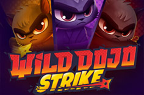 Интересный игровой автомат в Казино Jozz ➤ Wild Dojo Strike